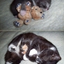 Then and now