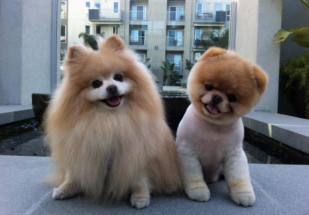 Brothers