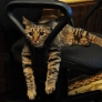 Lazy sunday afternoon