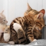 A loving mother
