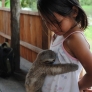 Baby sloth hugs little girl