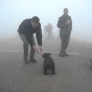 Bear attack