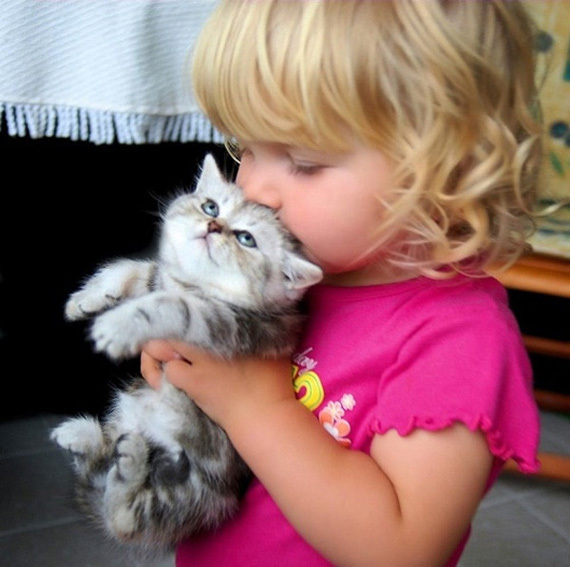 Little girl kisses kitten Teh Cute