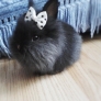 Pretty bunny