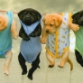 Puppies hangin'