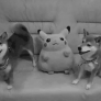 Shiba Inus like Pikachu