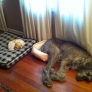 Who's the boss?
