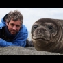 Cuddly seal