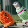 Penguins wearing sweaters