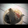 Squirrel insidepeanut butter jar
