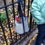 Dog in a bag