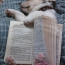 Book-holding puppy is sleeping