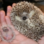 Mama and baby hedgehog