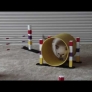 Kitten obstacle course training