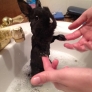 Bunny is taking a bath