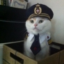 Captain cat