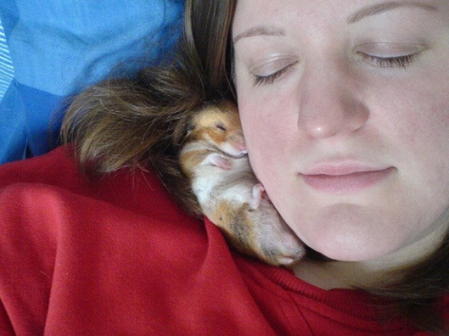 Woman sleeping with hamster