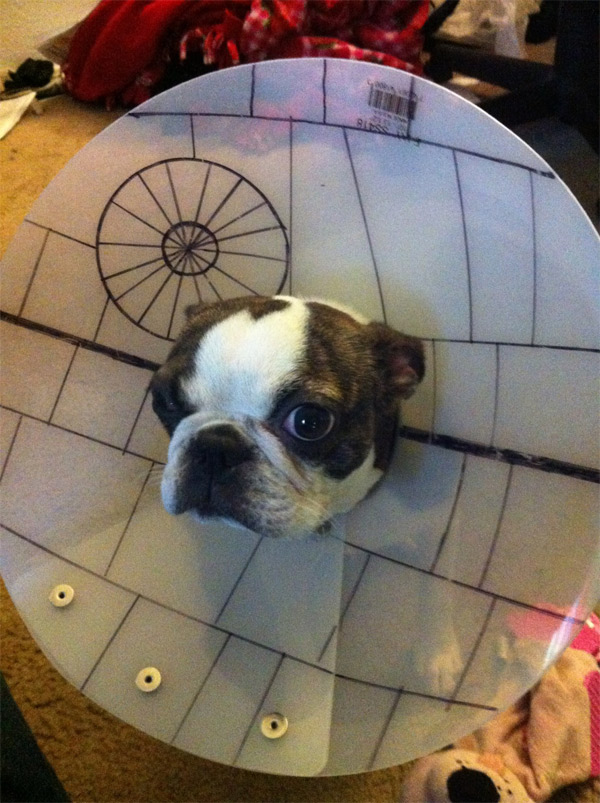 Death Star dog cone