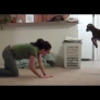 Bouncing lamb