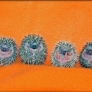 Baby hedgehogs