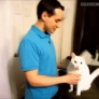 Cat hugs guy
