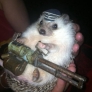 Machine gun hedgehog