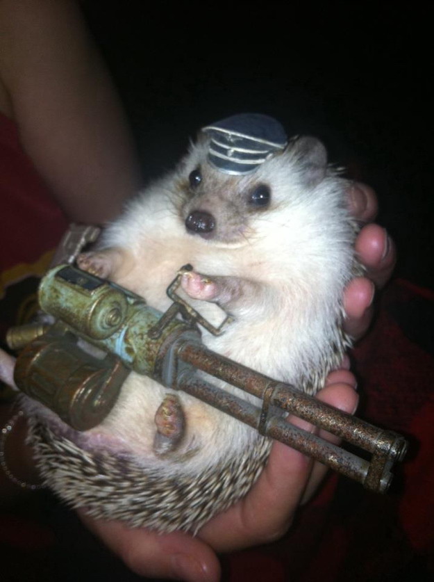 Machine gun hedgehog