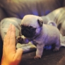 Hight five