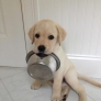 A bit hungry...