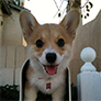 You've got mail!