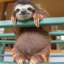 Hello!