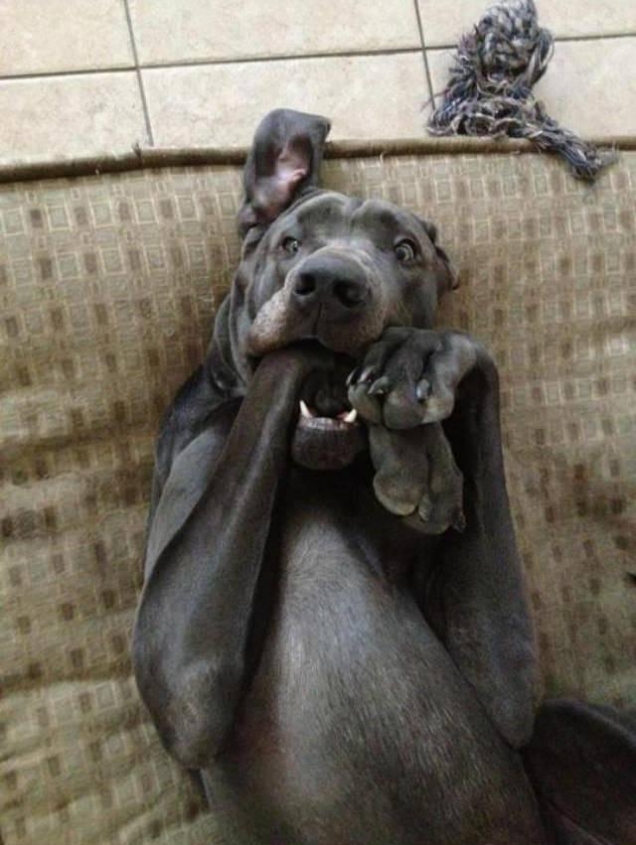 Mmmm, delicious! - Teh Cute