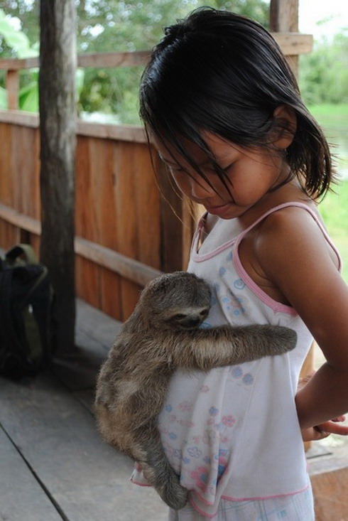 Baby sloth hugs little girl