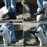 Polar bear attacks man