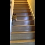 Corgi puppy vs. stairs
