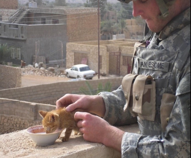 Private Aweome is feeding a kitten