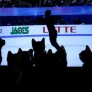 Kittens watch ice skating on TV