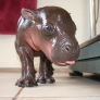 Harry the baby hippo