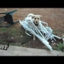Dog gets caught in blinds