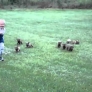 Kid is being chased by a gang of puppies