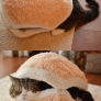 The cat burger